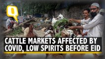 Goat Markets Suffer Before Eid-Ul-Adha Because of COVID-19