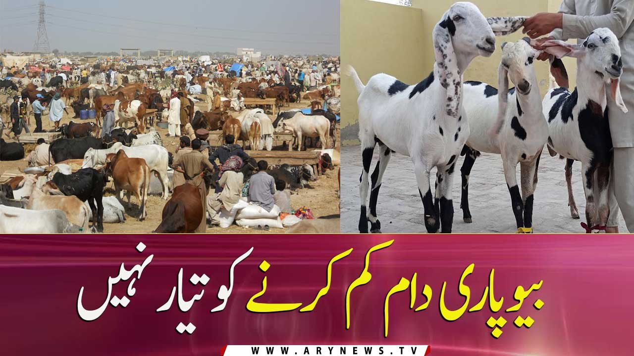 Preparations for Eid-ul-Adha