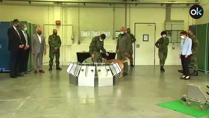 La efectividad de los perros para detectar el Covid podría llegar al 94%