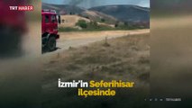 İzmir'de otluk alanda yangın çıktı