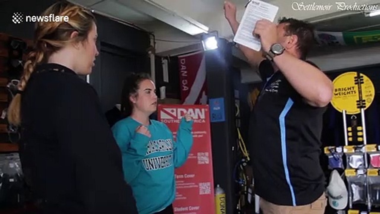 Ahead of Shark Week, this South African diver has a powerful message about sharks