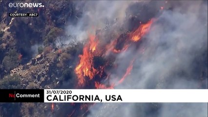 Wald brennt nahe Los Angeles