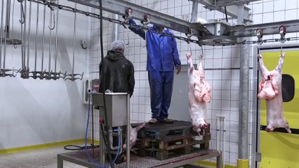 Kurban kesiminde Kovid-19 tedbirleri 109 ekiple denetleniyor - DİYARBAKIR