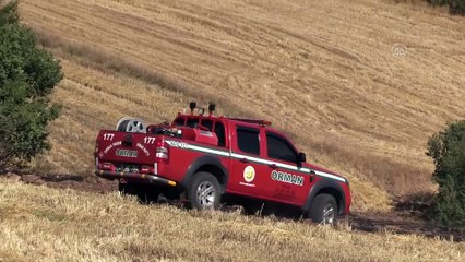 Anız yangınında 20 hektarlık alan zarar gördü - ÇORUM