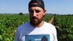 Fabien Tournayre va bientôt irriguer une partie de ses vignes à Saint-Just-d'Ardèche