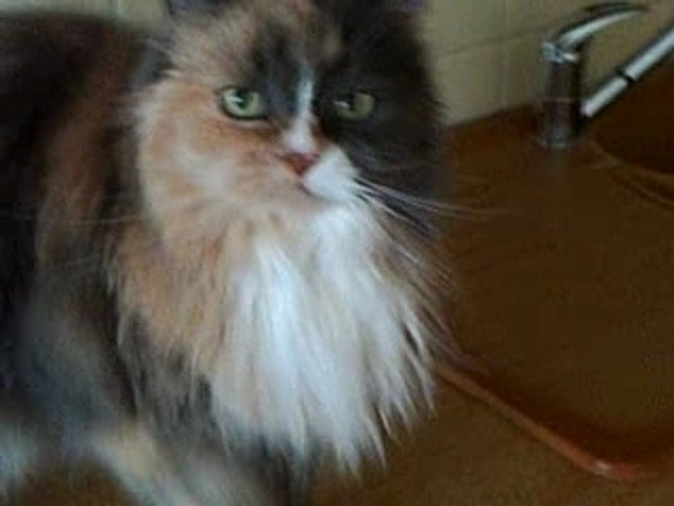 Fiona