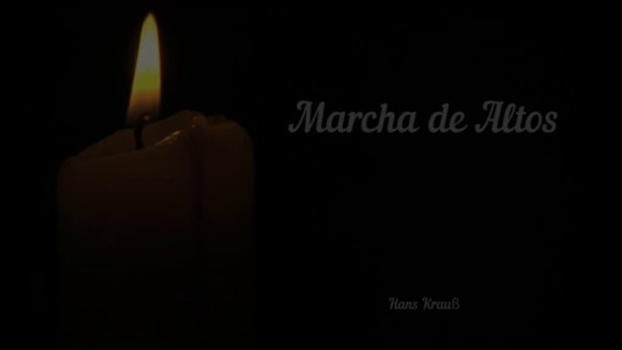 171204-marcha-de-altos