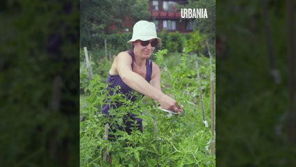 Les carottes sont crues: les montréalais retournent à la terre | Reportage