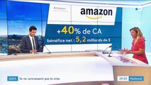 GAFA : ils ne connaissent pas la crise