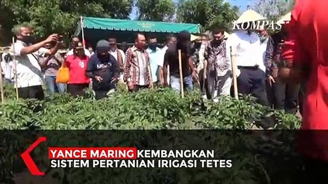 Keren! Petani Milenial NTT Kembangkan Sistem Pengairan Pertanian Modern