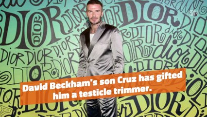 David Beckham's Balls