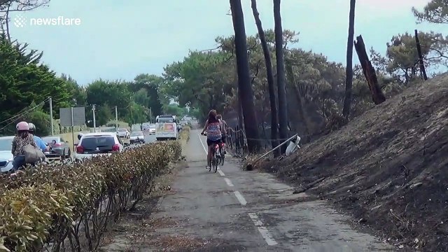 More than half of Chiberta forest in France burned down