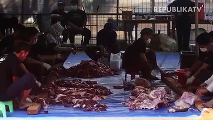 Wadah daging qurban ramah lingkungan.