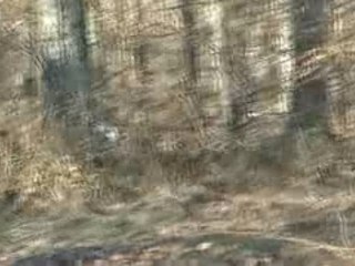 Ballade à Rambouillet 4