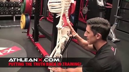 Deja de Estirar los Isquiotibiales (¡¡HASTA QUE VEAS ESTO!!)