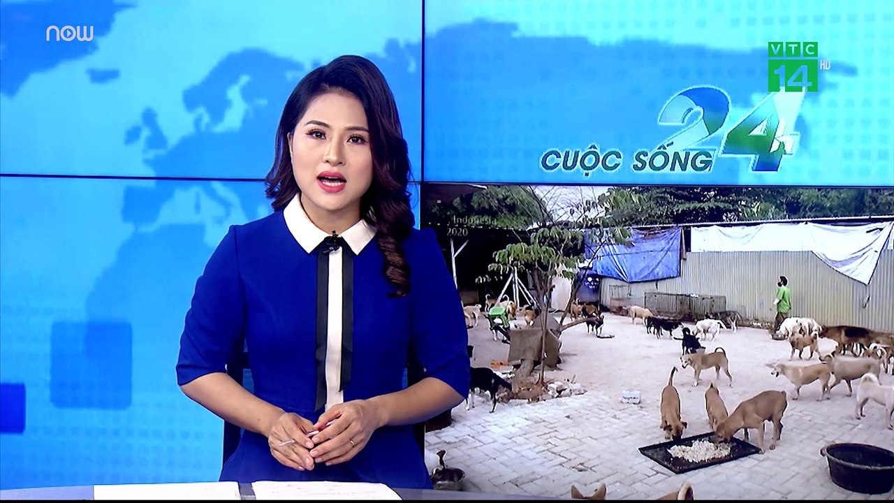 Bức xúc cảnh chó bị bỏ rơi hàng loạt tại Indonesia | VTC