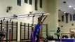 Tippelt parallel bar || gymnastics video ||amazing video||sportsfithub