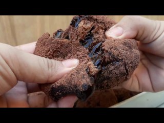 Choco Lanay DONUT / Chocolate Truffles 초코 라나이 도넛
