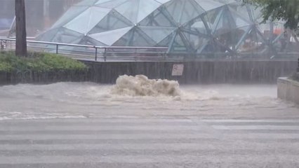 "강남역 또 물난리" 하수 역류해 도로 침수...통행 차질 / YTN