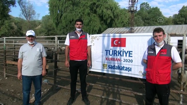 Sadakataşı Derneği 375 aileye kurban eti dağıttı - BİTLİS