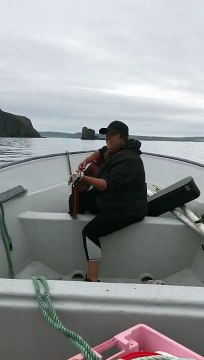 Des baleines s’approchent des observateurs qui chantaient et jouaient de la guitare