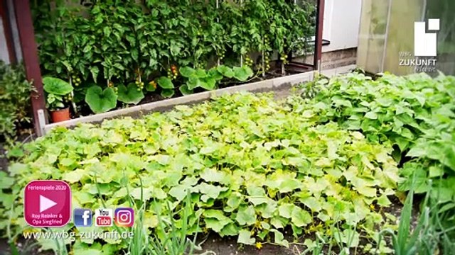 Obst und Gemüse Ferienbeschäftigung im eigenen Garten mit Bauchredner Roy Reinker & Opa Siegfried - WBG Zukunft - Erfurt - Video von Karrideo Imagefilm-Produktion©®