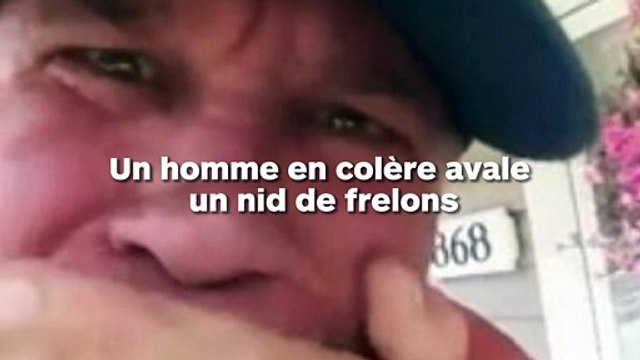Un homme avale un nid de frelons