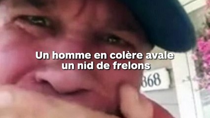 Un homme avale un nid de frelons
