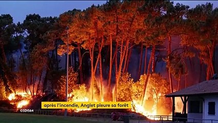 Pyrénées-Atlantiques : Anglet dévasté par un incendie
