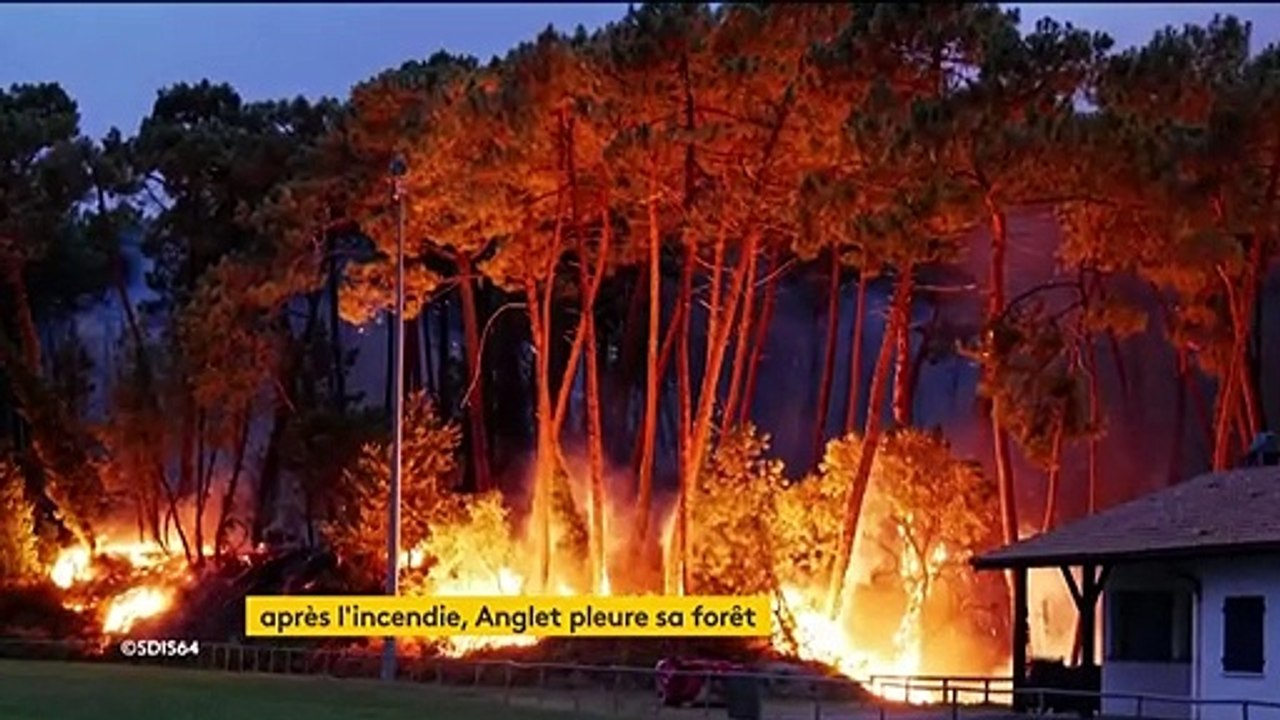 Pyrénées-Atlantiques : Anglet dévasté par un incendie