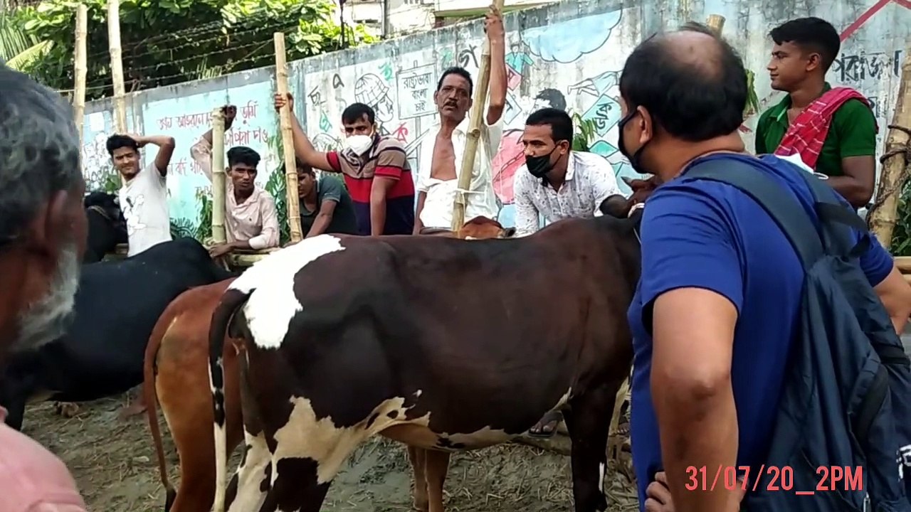 শনির আখড়া গরুর হাট ২০২০ হাট খালি_ ৩১/০৭/২০_২টা দুপুর/sonir akhra gorur hat 2020