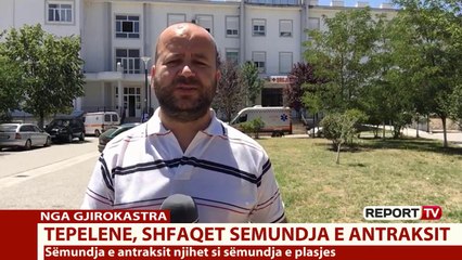 Memaliaj, therën lopën dhe dyshohet se u infektuan me antraks, mishin e shitën në të gjithë fshatin