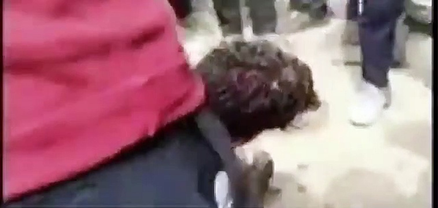 Hindistan'da İnek Eti Taşıdığı İddia Edilen Genç Hastanelik Edildi