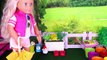 Play Baby Doll Garden Vegetables Toys by Our Generation Doll!