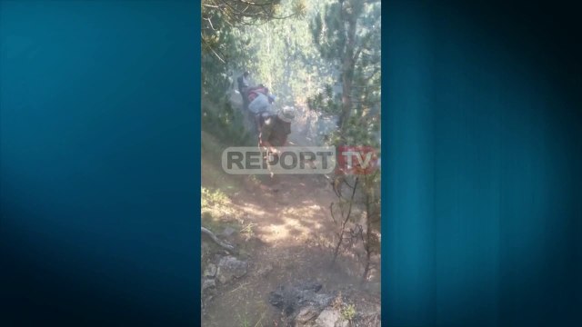 Report TV Toka me pisha përfshihet nga flakët në malin e Gjalicës, banorët me zjarrfikësit në terren