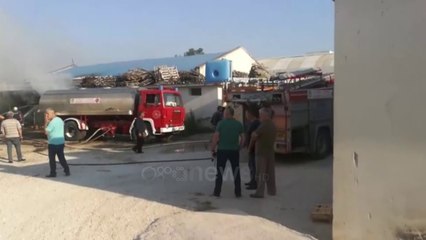 Ora New - Zjarr në një punishte druri në Lushnje