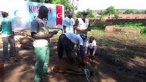Türkiye'den Mali'deki ihtiyaç sahiplerine kurban yardımı - MALİ