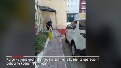 Kaluan në kufi 16 emigrantë, prangosen 2 persona në Korçë