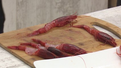 7pa5 – Pa Recete / Karkaleca Viole – 13 Korrik 2020 – Vizion Plus