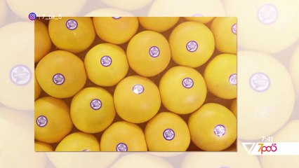 7pa5 - Frutat qe ‘shpiku’ njeriu – 13 Korrik 2020 – Vizion Plus