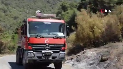 35 hektar orman küle döndü