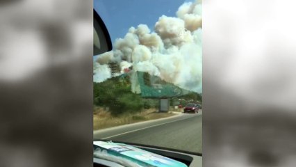 Menderes'te orman yangını - İZMİR