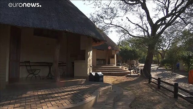 COVID спасает носорогов