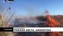 Gyorsan terjed a bozóttűz Argentínában