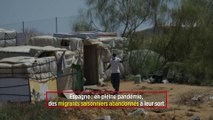 Espagne: en pleine pandémie, des migrants saisonniers abandonnés à leur sort