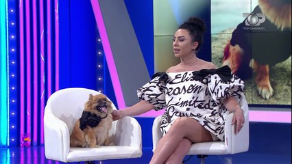 I këndova që të zgjohej nga koma, si e shpëtoi Dorina qenushin pas aksidentit