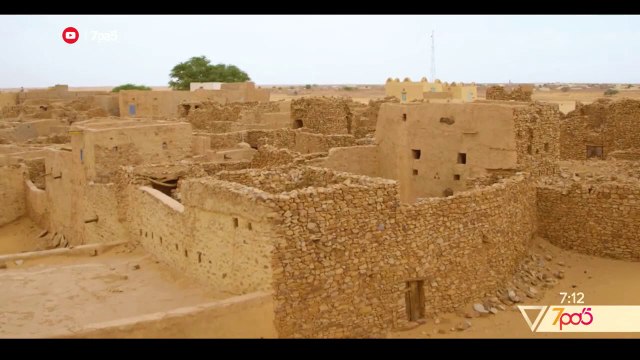 7pa5 - Roli i reres se dunave te Saharase ne ekosistem – 15 Korrik 2020 – Vizion Plus