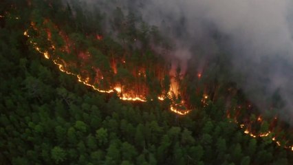 불타는 시베리아?...이상 고온에 연일 산불로 잿더미 / YTN