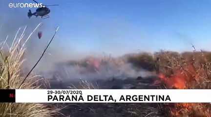 Argentina battles fires in Paraná Delta