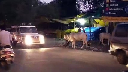 शाम 7 बजे बाजार बंद करवाने की व्यवस्था देखने मक्सी पहुंचे SDM